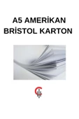 A5 Amerikan Bristol Karton 350 Gr 500 Adet - 1