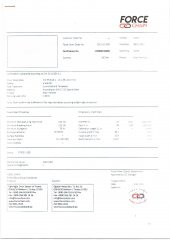 KESİLMEZ MOTORSİKLET VE YÜK ZİNCİRİ 13 MM GRADE G80  2 METRE - 3