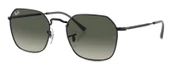 Ray-Ban RB3694 002/71 53 Unisex Güneş Gözlüğü - 1