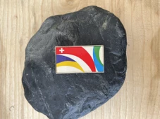 1 ADET AĞUSTOS 1976 ROZET YABANCI ROZET - 1