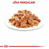 Royal Canin Pouch Kitten Jelly Yavru Kedi Konservesi 12 Adet 85 Gr thumbnail 3