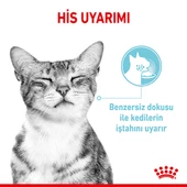 Royal Canin Sensory Feel in Gravy Adult Yetişkin Kedi Konservesi 85 Gr thumbnail 3