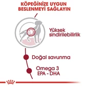 Royal Canin Medium Adult Gravy Yetişkin Köpek Konservesi 10 Adet 140 Gr thumbnail 3