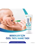 Sensodyne Promine Baby 0-2 Yaş Arası Diş Macunu 50 ml - 5