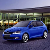 Skoda Fabia 2015-2018 Cam Suyu Fiskiye Depo Kapağı 6V0955485 - 2