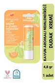 BYPHASSE Kavun Aromalı Nemlendirici Dudak Bakım Kremi 4.8 GR - 1