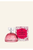 The Body Shop Japanese Cherry Blossom Strawberry Kiss Edt thumbnail 1