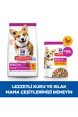 Hill's SCIENCE PLAN Tavuklu Küçük ve Mini Irk Yetişkin Köpek Maması 1,5 Kg - 2