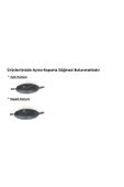 Efe Ds Isıtıcılı,ısıtmalı,ısıtıcı Oto Koltuk Minderi12 Volt Çakmaklıklı - 4