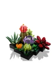 LEGO Creator Sukulentler/ Succulents 10309 - 2