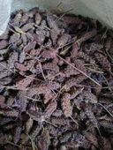 KARABAŞ OTU 300 GR ( doğal kurutulmuş yeni mahsül taze ürün ) - 1