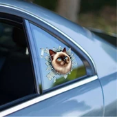 Fulcar Siamesse Araç Stickerı - 1