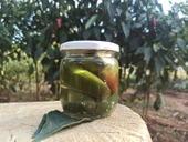 Lor Dolgulu Jelepeno Biber 360 gr - 3