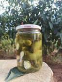 Lor Dolgulu Jelepeno Biber 560 gr - 1