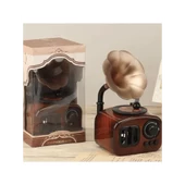 Gramofon Müzik Kutusu - 4