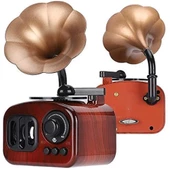 Gramofon Müzik Kutusu - 5