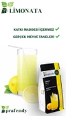 PRAFENDY TOPTAN LİMONATA TOZ GERÇEK MEYVE TANELİ 250 Gr x 24 Ad. - 2