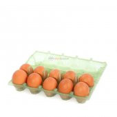 10lu Plastik Yeşil Yumurta Viyolü (400 Adet) thumbnail 2