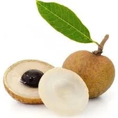 1 Adet Tohum Tropikal Ejderha Meyvesi Tohumu Ejderha Ağaç Meyvesi Ejder Gözü thumbnail 1