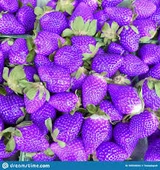 10 Adet Tohum Nadir Mor Çilek Tohumu Saksı Toprak Hediyemiz - 2