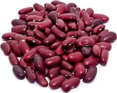 100 Adet Tohum Nadir Kırmızı Oturak Meksika Fasulyesi Fasulye Tohumu Saksı Toprak Hediyemiz thumbnail 2