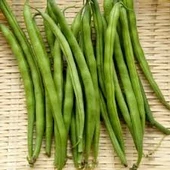 200 Adet Tohum Organik Oturak Börülce Tohumu Sürpriz Hediye Tohum thumbnail 1