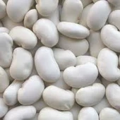 100 Adet Tohum Nadir Niğde Beyaz Fasulye Fasülye Tohumu Sürpriz Hediye Tohumlu - 1