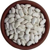 100 Adet Tohum Nadir Niğde Beyaz Fasulye Fasülye Tohumu Sürpriz Hediye Tohumlu - 3