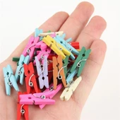 Ahşap Renkli Mini Mandal 100 Adet - 2