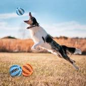 Mama Hazneli Köpek Eğitim Ve Oyun Topu - 1