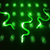 Yılan Kırkayak Şaka Oyuncağı 36 Adet - 1