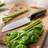 EMSAN PRO KNİFE SANTOKU 2.5 MM - 1