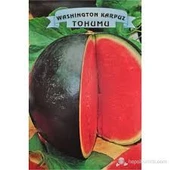 20 Adet Tohum Nadir İthal Washinton Siyah Karpuz Tohumu Hediye Tohumlu - 2