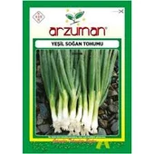 1 Paket Tohum Organik Hasat Arzuman Taze Firik Soğan Tohumu Hediye Tohumlu thumbnail 2