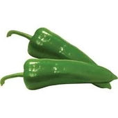 150 Adet Tohum Yeşil Acı PAt Biber Tohumu Hobi Balkon Saksılık Hobi Bahçe Hediye Tohum thumbnail 1