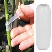 5 Adet Şeffaf Aşı Bandı Fidan Aşılama Bant Kaliteli Kullanışlı Bant - 1