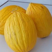 50 Adet Tohum Nadir Organik Bal Sarı Kavun Tohumu Bol Verimli Hobi Bahçe Tohumu Hediye Tohumlu - 3