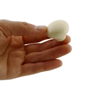 Kamelya Kulp Krem Polimer Düğme Kulp Mantar Mobilya Mutfak Dolabı Çekmece Kulbu Kulpları thumbnail 4