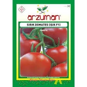 1 Paket Tohum F1 Kırmızı Sırık Domates Tohumu Hediye Tohumlu - 1