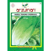 1 Paket Tohum Arzuman Yedikule Yağlı Göbekli Marul Tohumu Hediye Tohumlu - 1