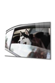 Köpek 4 Dekoratif ve Modern Cam Tablo - 1