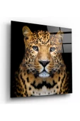 Leopar Dekoratif ve Modern Cam Tablo - 1