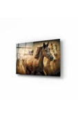 Atlar Dekoratif ve Modern Cam Tablo 50x70 Cm - 1