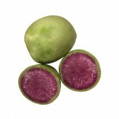Dışı Yeşil İçi Pembe Watermelon Turp Tohumu (45 Tohum) - 1