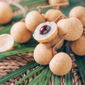 Tropikal Çeşit Longan (Ejderha Gözü) Fidanı - 1