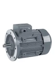 ELK Motor 0.75 kW, 3000 devir, B5 Flanşlı - 1