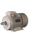 Omega Motor 2,2 Kw, 3000 Devir, B3 Ayaklı - 1