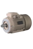 Omega Motor 3 kW, 3000 devir, B14 Flanşlı - 1