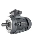 Gamak Motor 1,5 kW, 3000 devir, B14 Flanşlı - 1