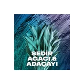 Axe Apollo Erkek Sprey Deodorant 150 Ml ( 1 ADET ) - 4